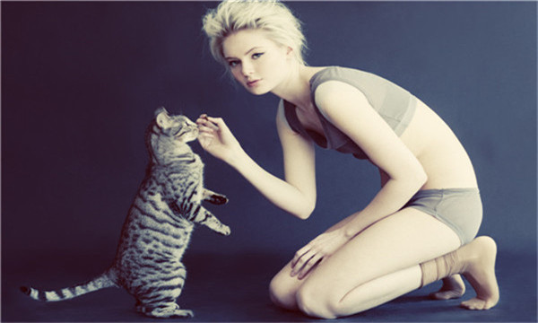 来宾代妈报酬多少